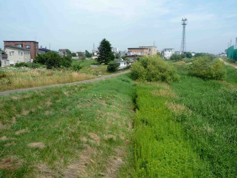 「百合が原から東茨戸」コース：旧琴似川沿いの道