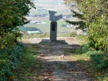  南幌フットパス・月例ウォーク：マオイ文学台（長官山）