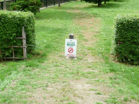 寺の沢川コース：小学校の敷地内を通り抜ける