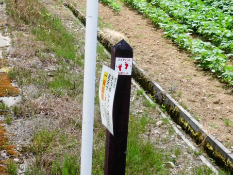 歌才森林公園コース：赤色の足跡マークは私有地の印