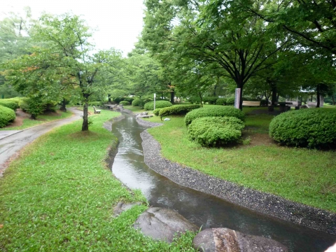 白つつじコース：白つつじ公園